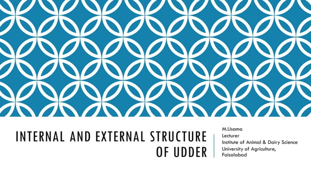 Internal and External structure of udder.pdf