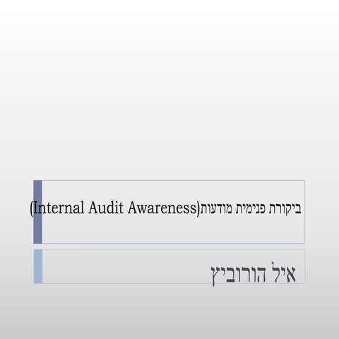איל ביקורת פנימית-הורוביץ מודעות