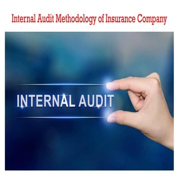 Internal audit RBIA and Lifecyle approach