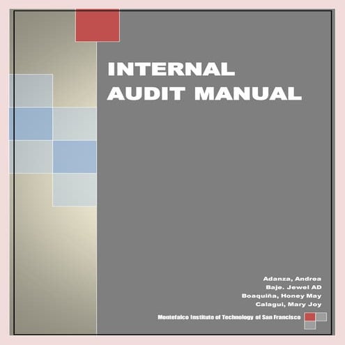 Internal audit manual final project