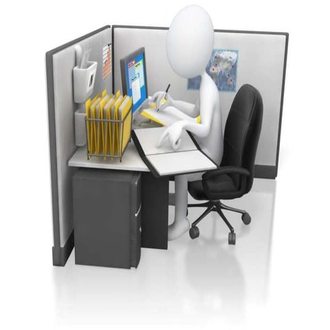 Internal auditors’ roles and responsibilities