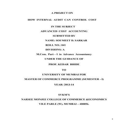 Internal Audit Project