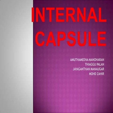 Internal capsule