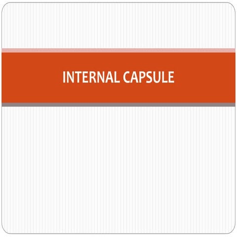 Internal capsule