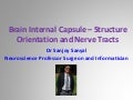 Brain Internal Capsule – Structure Orientation Tracts - Sanjoy Sanyal