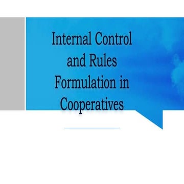 Internal control and Rules Formulation.pptx