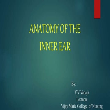 Anatomy of inner ear | PPT