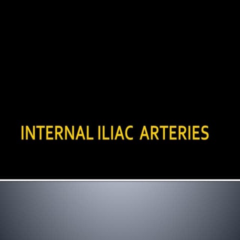 Anatomy of Internal Iliac arteries.pptx