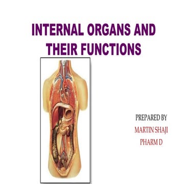 Internal organs and functions - medical information 