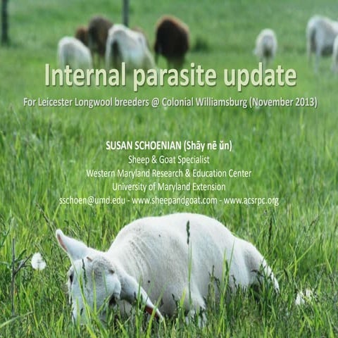 Internal parasite update