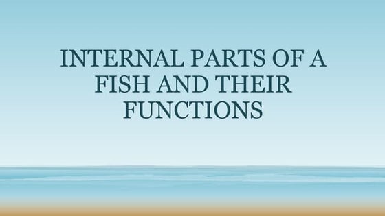 How to dissecting a fish | PPT