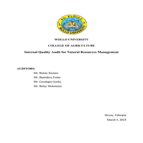 Internal Program Audit NaRM (Autosaved) (Autosaved).docx