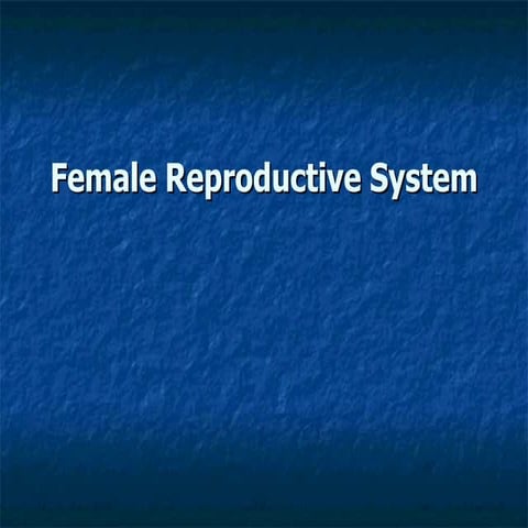 Female Reproductive System
