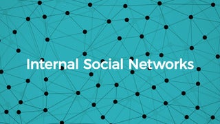 Best Internal Social Networks for Business