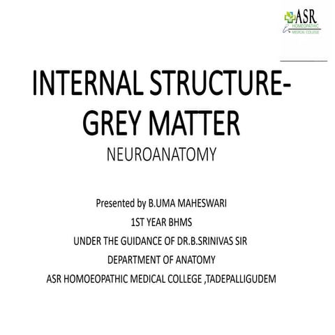 INTERNAL STRUCTURE : GRAY MATTER-WPS Office.pptx