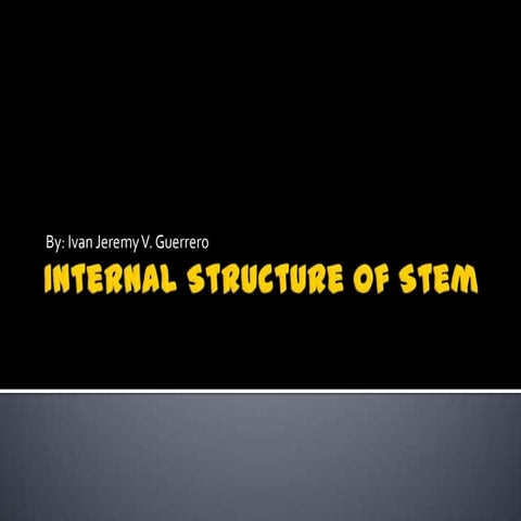 Internal structure of stem