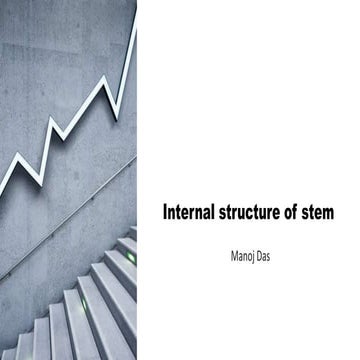Internal structure of stem