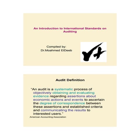 International auditing overview(modified 1) 