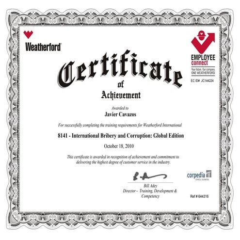 International bribery and corruption  global edition