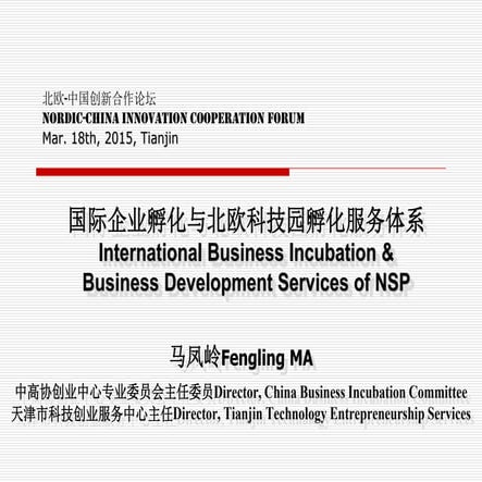 International business incubation and development services of nsp