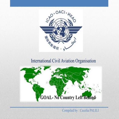 International civil aviation organization (icao)