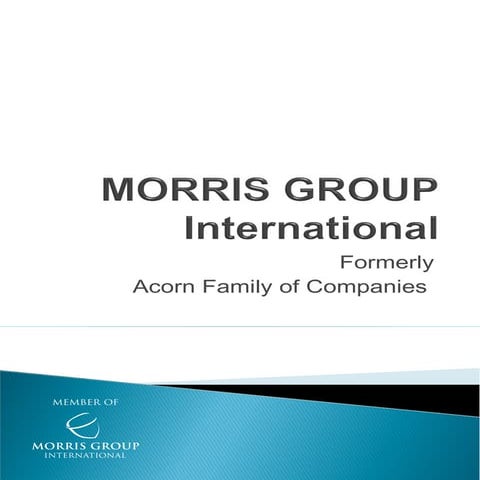 Morris Group International at a Glance | PDF