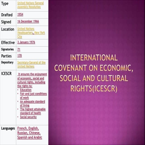 International covenant on economic, social and cultural | PPTX
