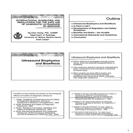International Guidelines And Regulations For The Safe Use Of Diagnostic Ultrasound In Medicine