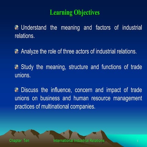 International Industrial Relations