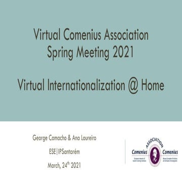 Virtual Internationalization @ Home