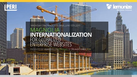 Internationalization for globalized enterprise websites
