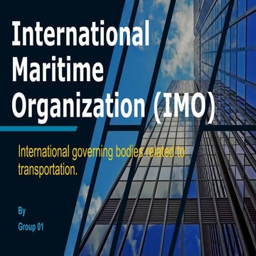 International maritime organization (imo)
