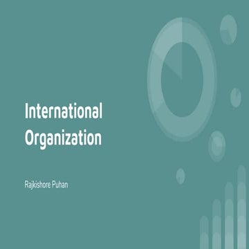 International organization