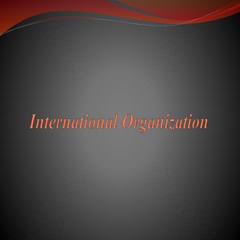 International organization presenttion