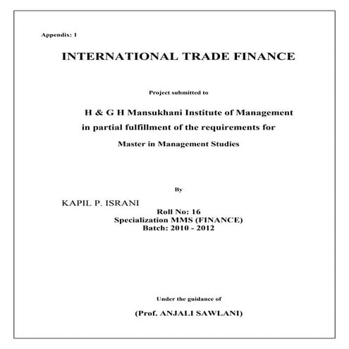 International Trade Finance   Summer Internship Project