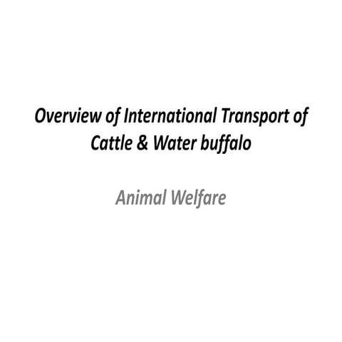 Overview of international transport of cattle and water buffalo: animal welfare