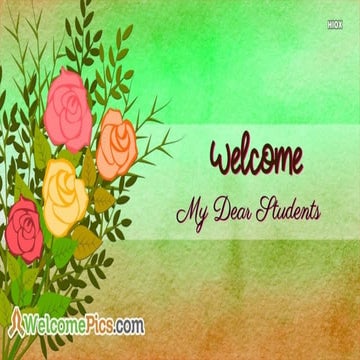 international voluntary agencies.pptx the same thing as