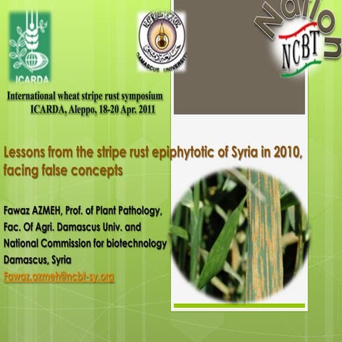 Management of yellow rust in wheat | PPT