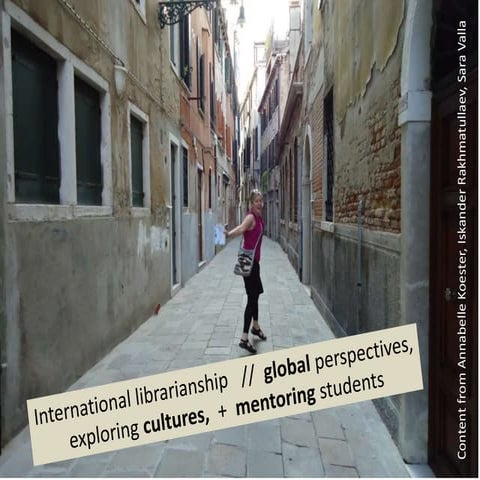 International Librarianship Experiences