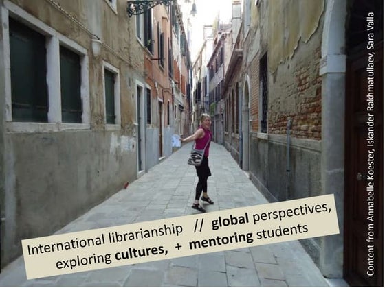 International Librarianship Experiences