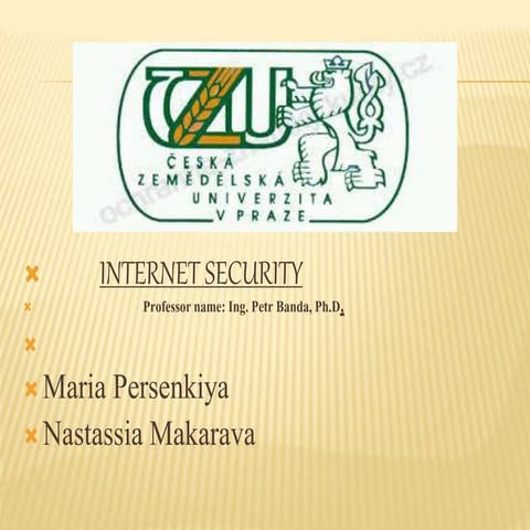 Internet Security in Web 2.0 