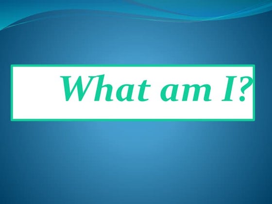 INTERNET BASED PROJECT WORK | PPT