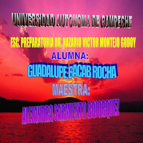 Internet Explorer Lupita