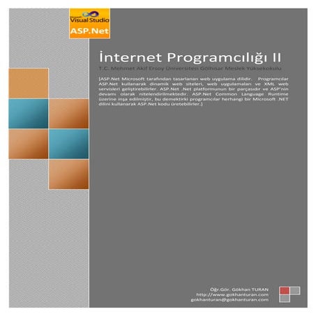 Internet programcılığı-i