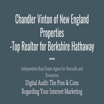 Internet audit realtor c. vinton