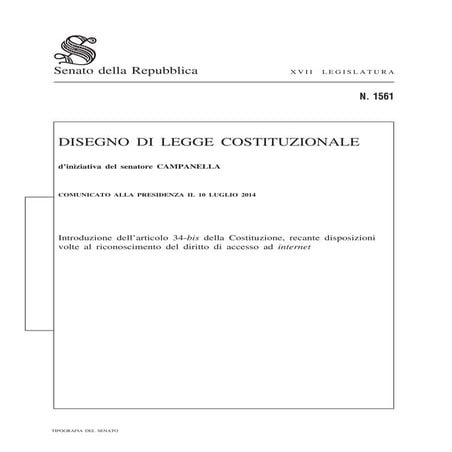 diritto ad Internet in costituzione
