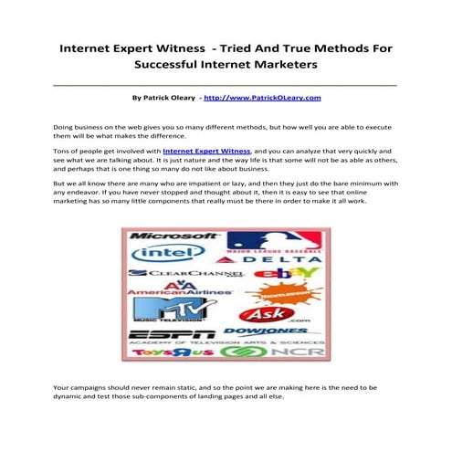 Internet expert witness