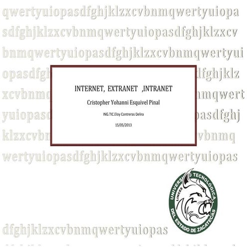 Internet extranet intranet