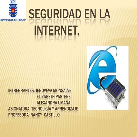 internet segura