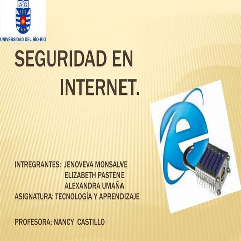Internet segura bueno 